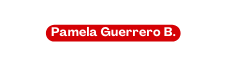Pamela Guerrero B