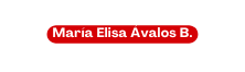 María Elisa Ávalos B